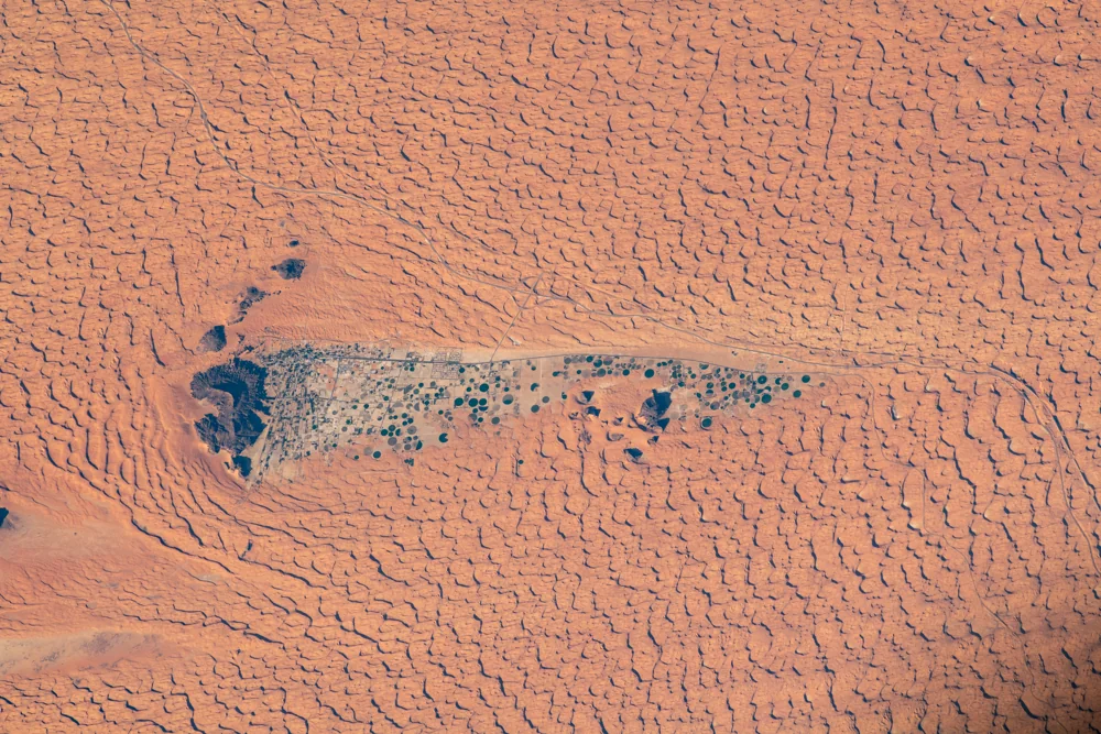 Oasis