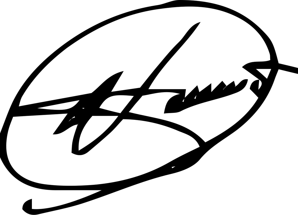 Robert Ristic signature